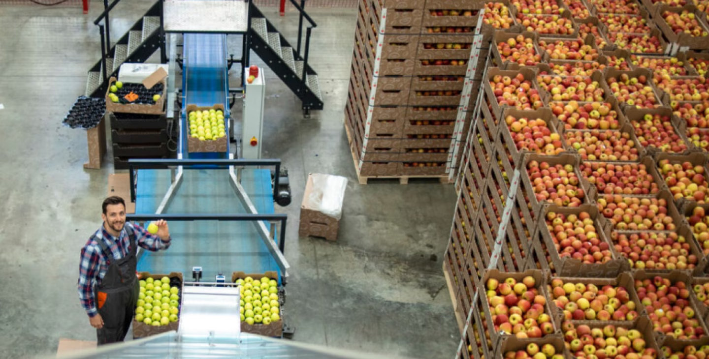 article strategie achat de matieres premieres et emballages pour le secteur agroalimentaire.avif