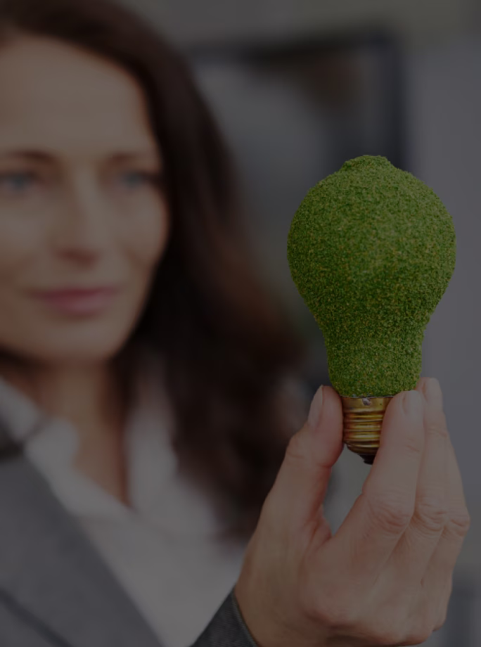 Interface Greenly pour mesurer et analyser l’empreinte carbone d’une entreprise