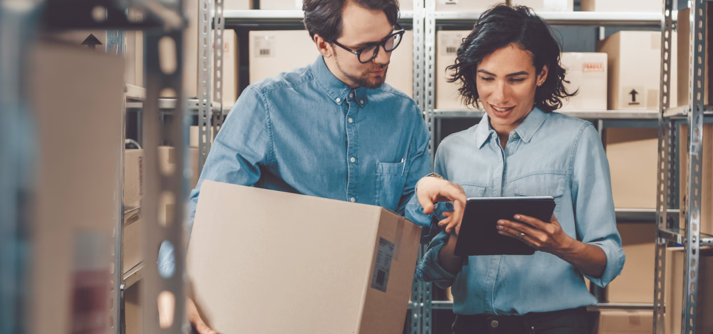 Illustration du portail e-commerce Kapps connecté à l’ERP pour une gestion centralisée des ventes en ligne