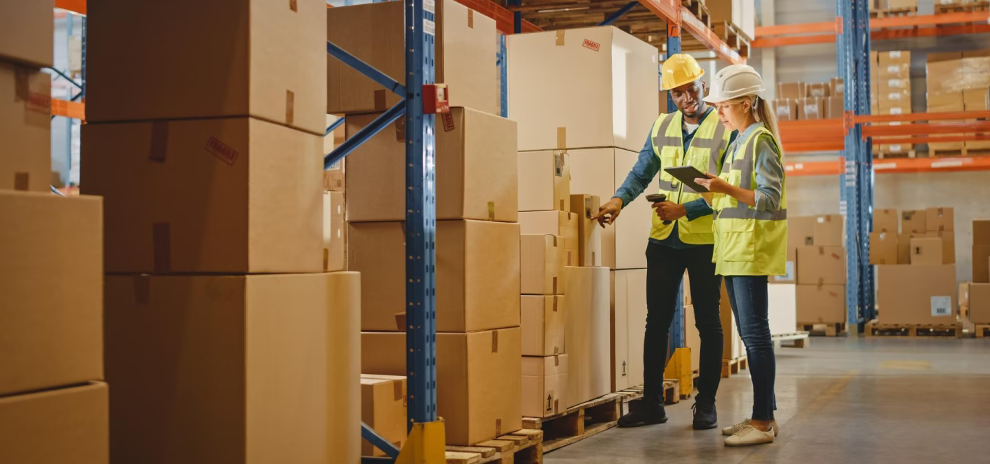 wms pour logiciel erp sap business one